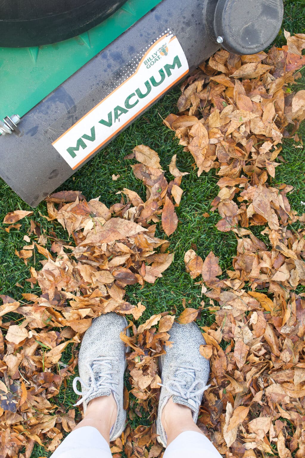 How to prep your backyard for winter
