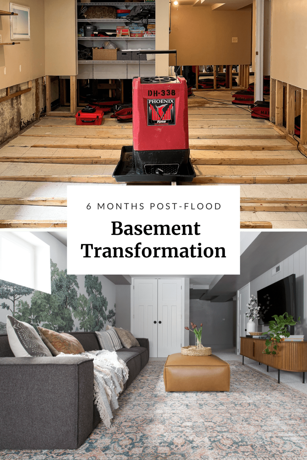 our basement transformation 6 months in
