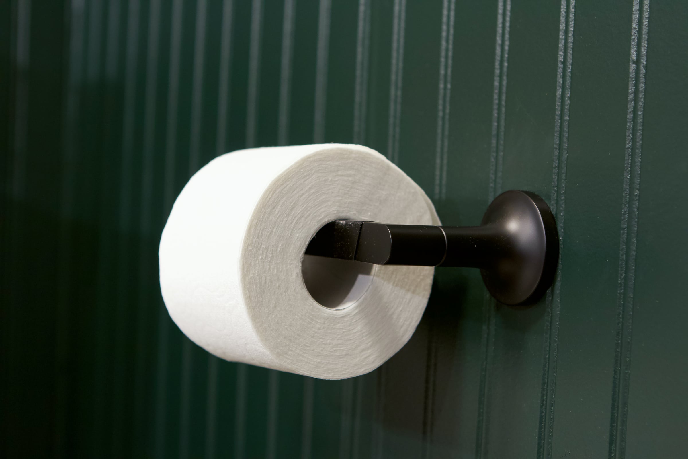 Black toilet paper holder