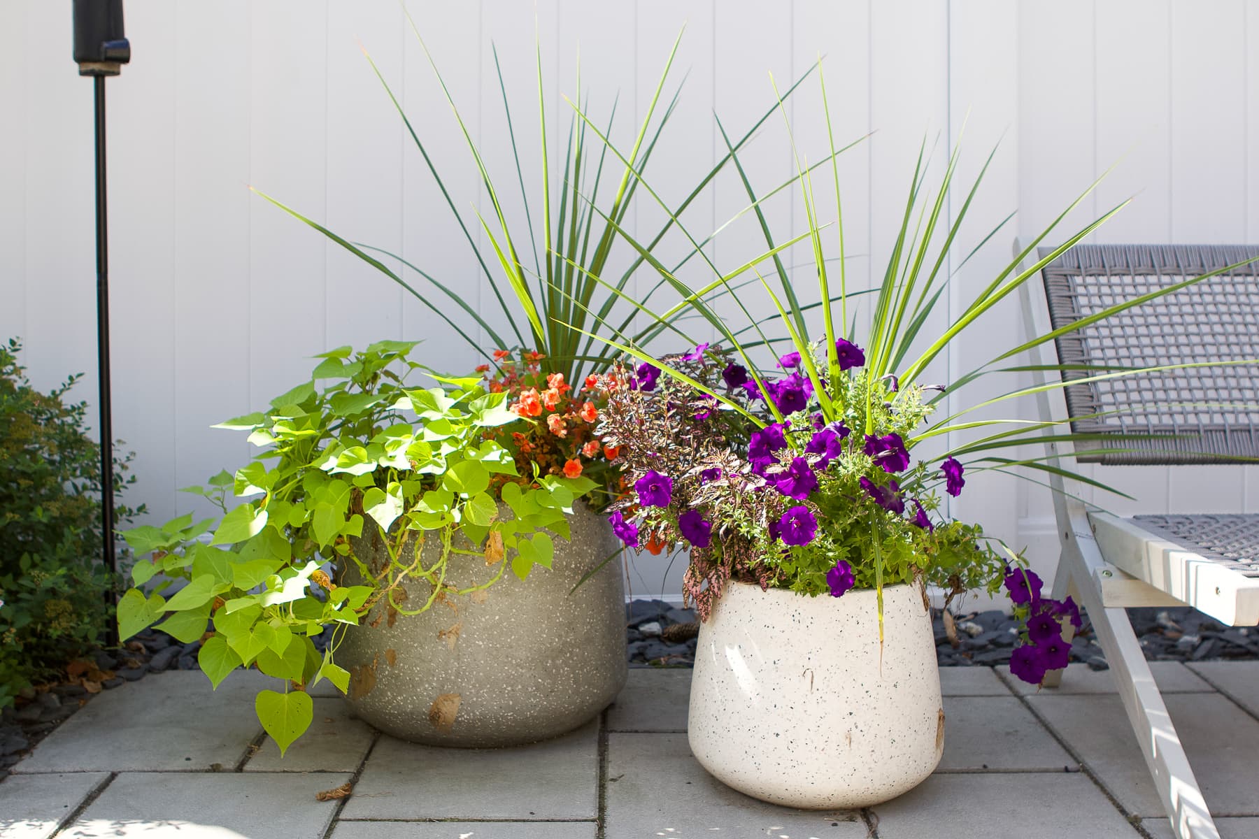 My summer flower pots