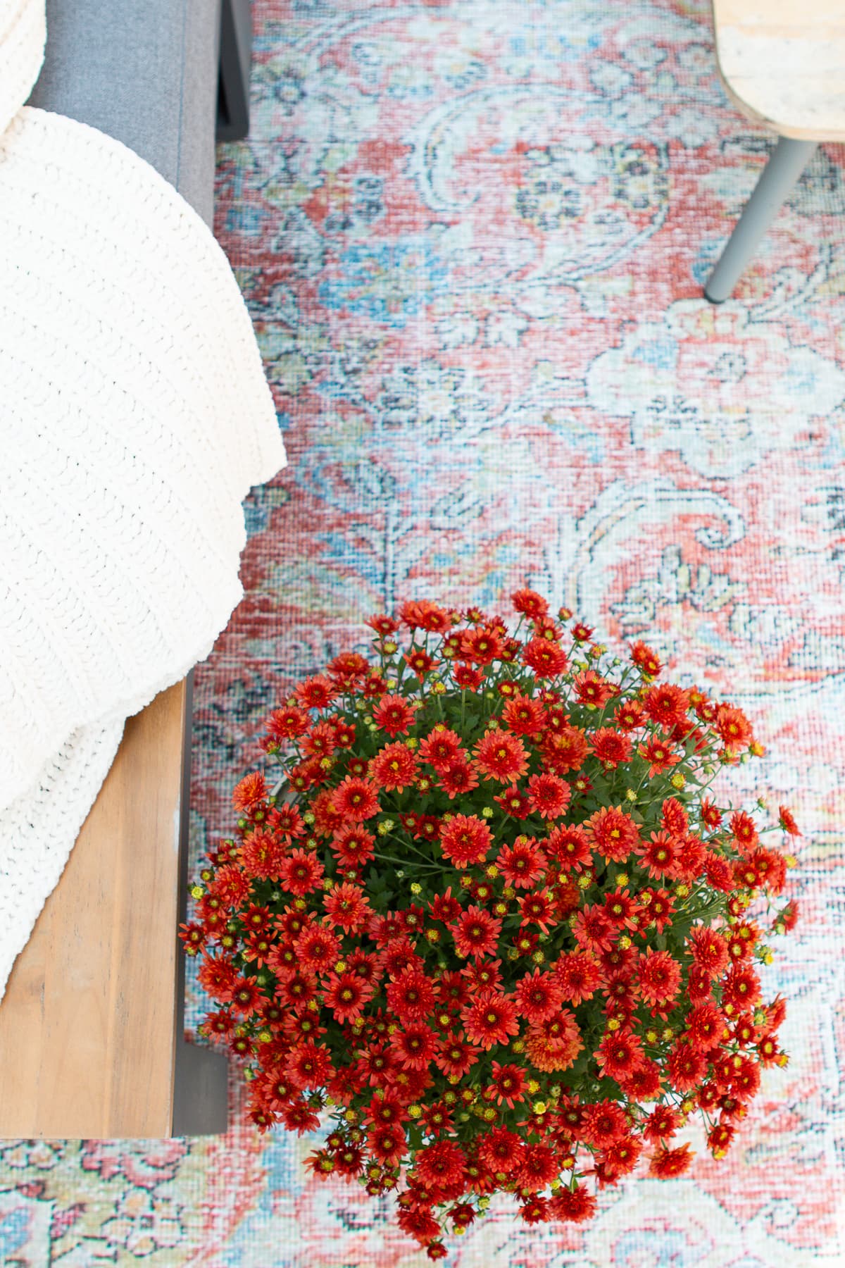 Adding an outdoor rug to our backyard space