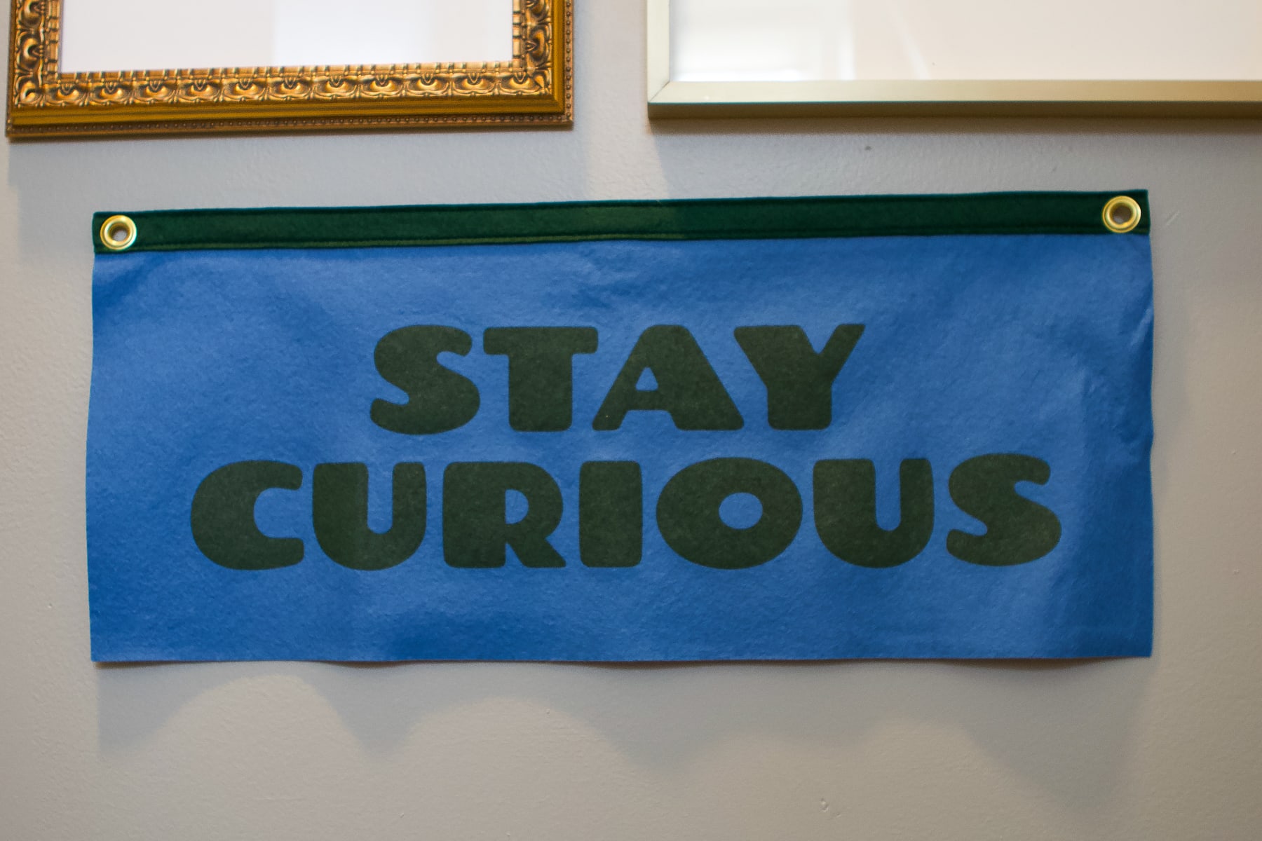 Stay Curious banner