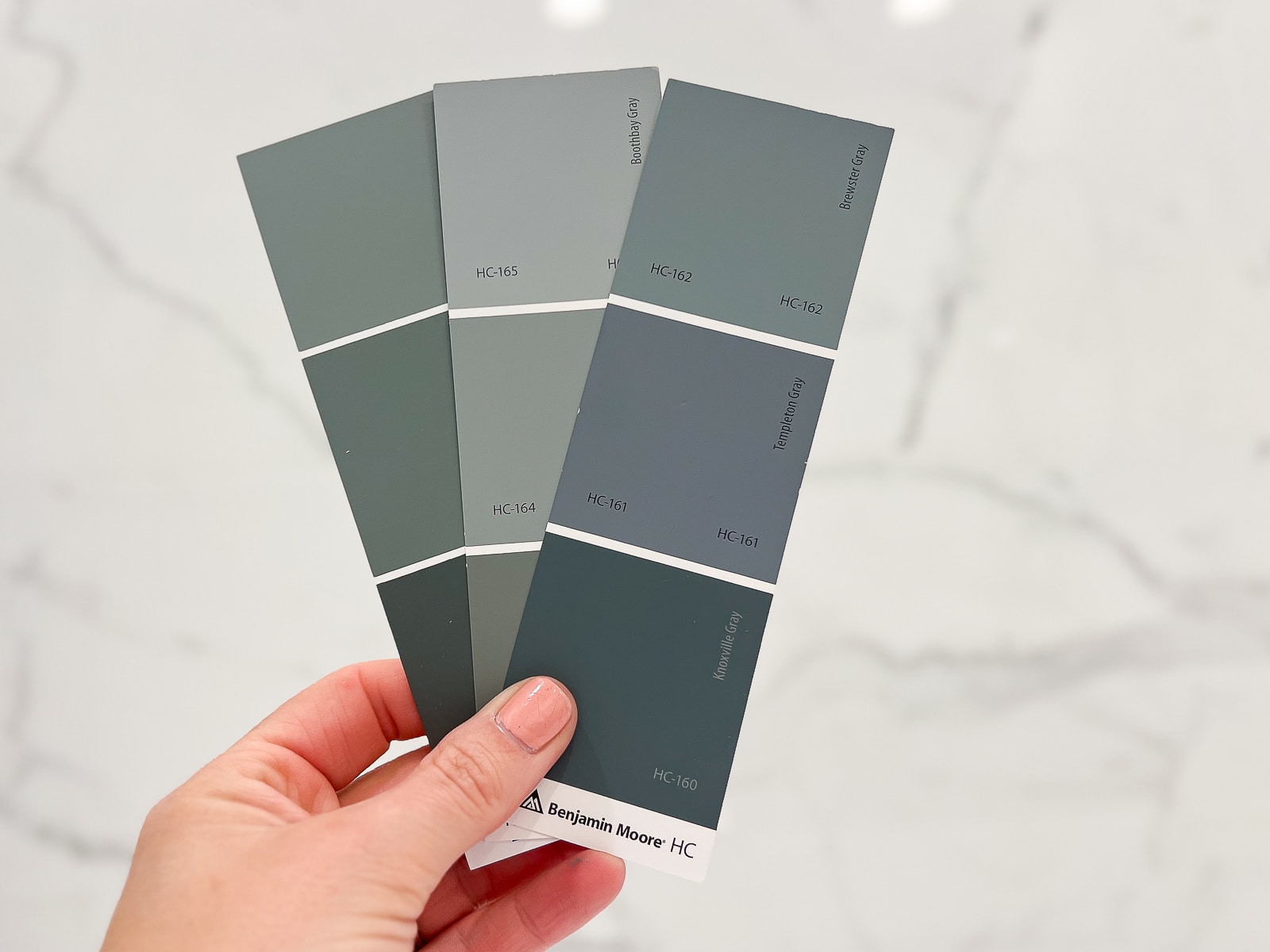 Échantillons de peinture de différentes nuances de gris et de bleu