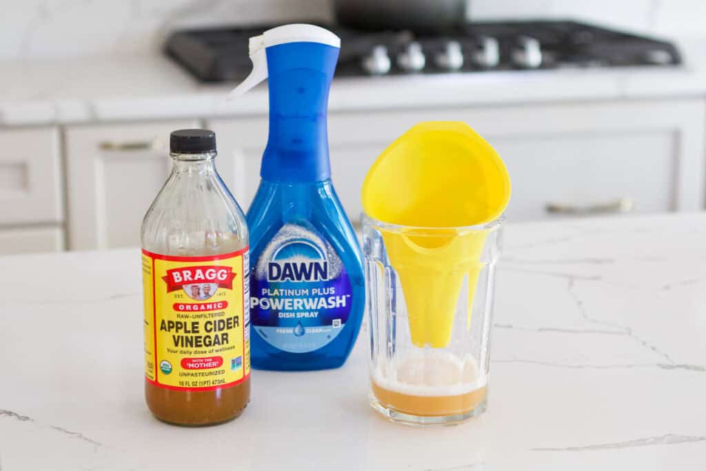 How To Get Rid of Fruit Flies In Your Kitchen (DIY Tips) - Homemade Pest Control For Fruit Flies