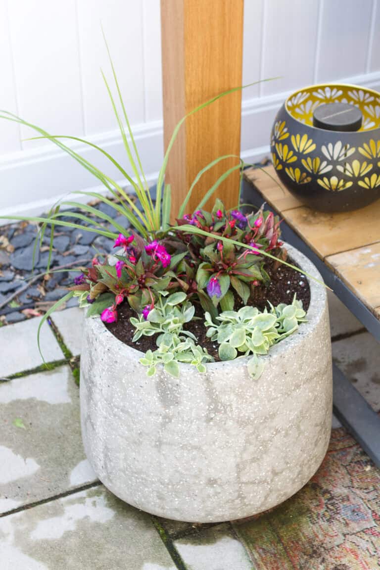 Summer Flower Planter Ideas for Full Sun and Shade - DIY Playbook