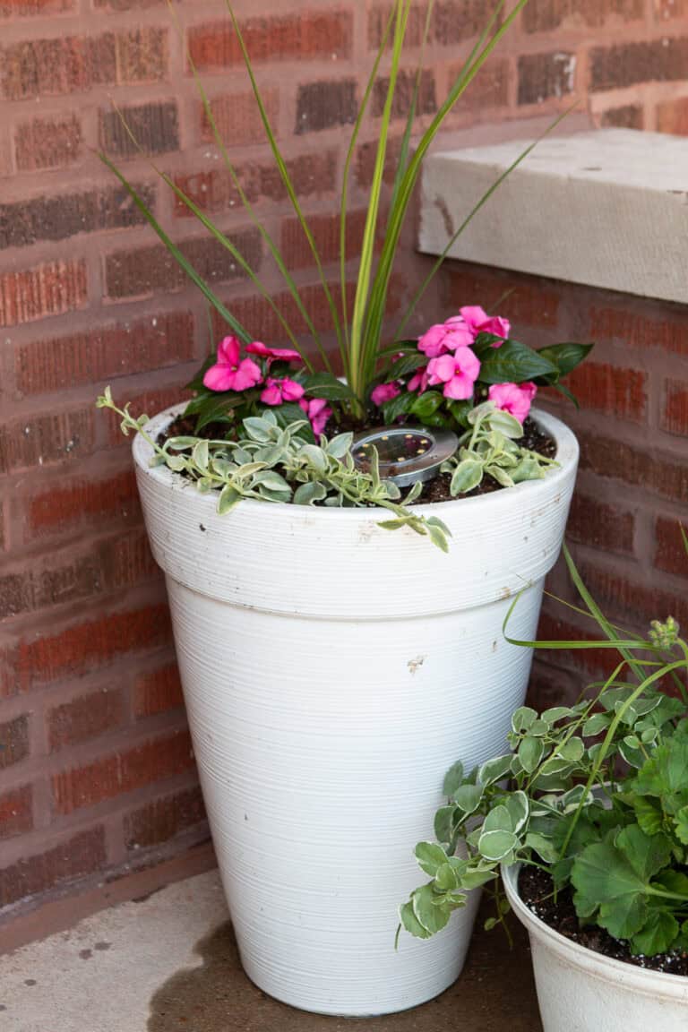 Summer Flower Planter Ideas for Full Sun and Shade - DIY Playbook