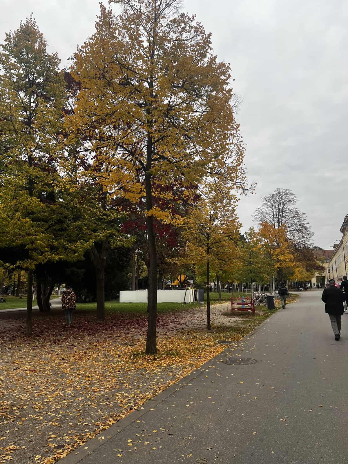 A picture in Vienna, Austria