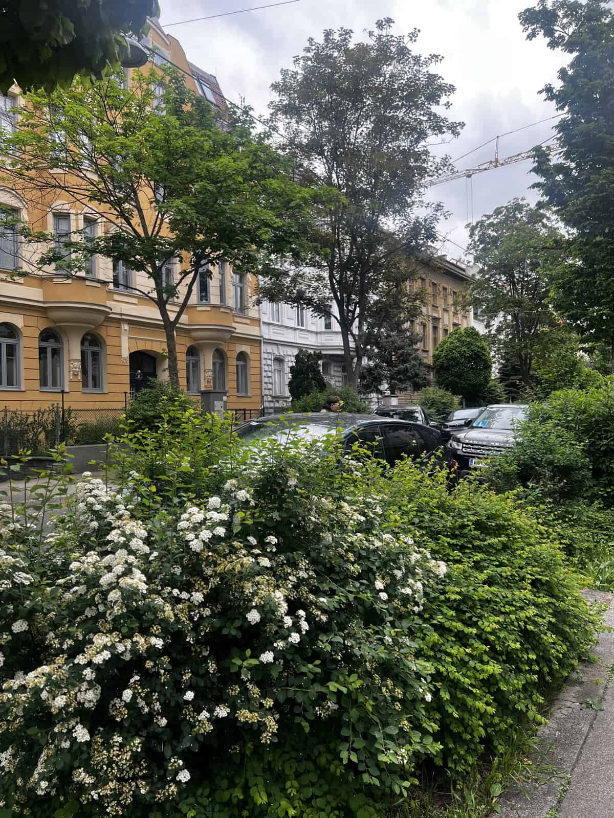 A picture in Vienna, Austria